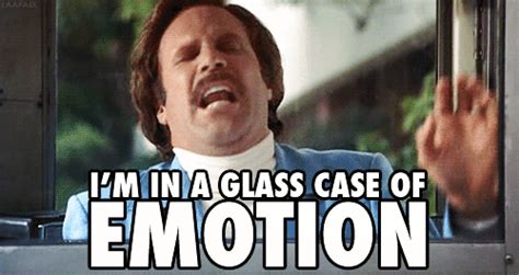 Giphy  500×265 Glass Case Of Emotion Will Ferrell Emotions
