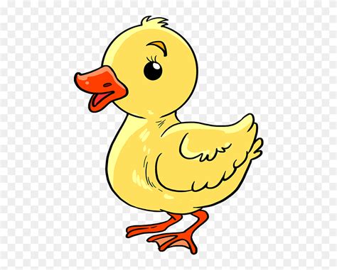 How To Draw Baby Duck Easy Baby Duck Drawing Clipart 5483467