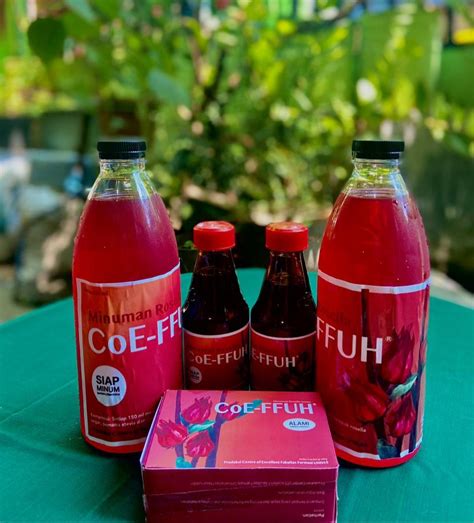 Bunga rosela baik untuk tubuh karena mengandung vitamin c, b3, b9, zat besi, kalsium, seng, natrium, fosfor, magnesium, dan kalium. Fakultas Farmasi Unhas Hasilkan Produk Inovasi dari ...