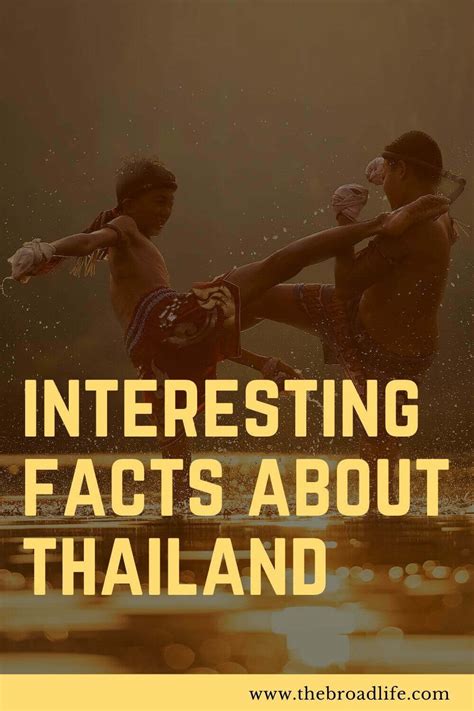 15 Interesting Thailand Facts You Need To Know Before Traveling To The