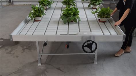 Agriculture Greenhouse Flood Movable Rolling Seedbedtabletrays Top