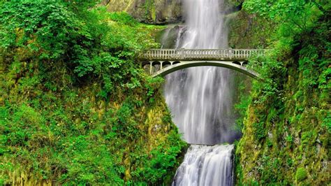 Multnomah Falls Waterfall Bridge In Autumn Red Portland Oregon Usa