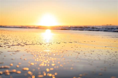 Shallow Depth Of Field Sunset With Sea And Beach Booked Effect Stock