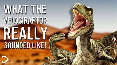 What Did The Velociraptor Really Sound Like Youtube