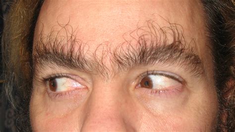 I See Your Long Eyebrow Hair And Raise You Well Take Your Pick Imgur