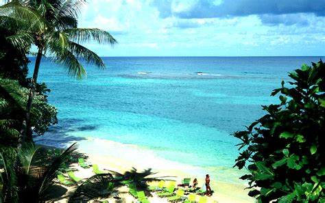 The terrace at jamaica inn. Elevation of Ocho Rios, Jamaica - Topographic Map ...