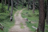 Passeggiata - Sentiero dei Larici • Escursione » outdooractive.com