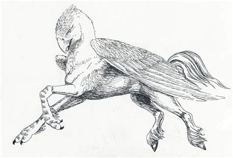 Cool harry potter coloring books coloring page and coloring book. harry potter hippogriff coloring pages - Google Search ...