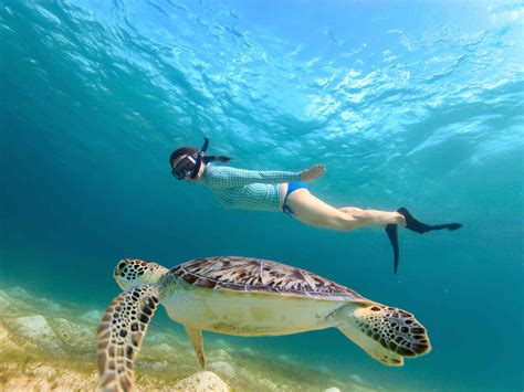 Molokini Snorkeling In Maui