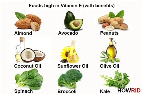 Nuts, seeds, and some oils tend. Why do our bodies need vitamin E? - Quora