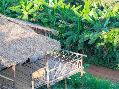 The Bamboo Cottage Thai Style With Mountains Background Homestay At