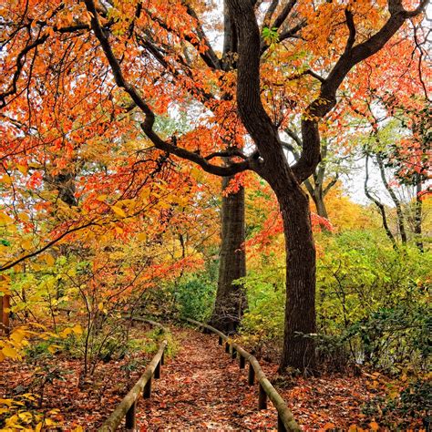 Brooklyn Botanic Garden Park Review Condé Nast Traveler