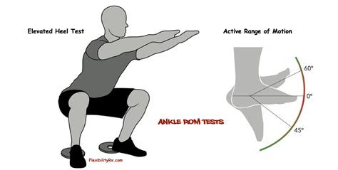 Normal ranges of motion by joint. FitnessAssessment | FlexibilityRx™ - Performance Based ...