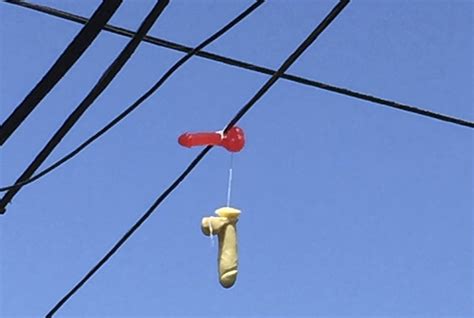 Hundreds Of Sex Toys Found Dangling From Power Lines In Portland