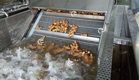 Automatic Ginger Washing Peeling Slicing Processing Machines Buy