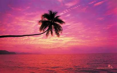 Beach Pink Sunset Heart Google Rainbow Sunsets