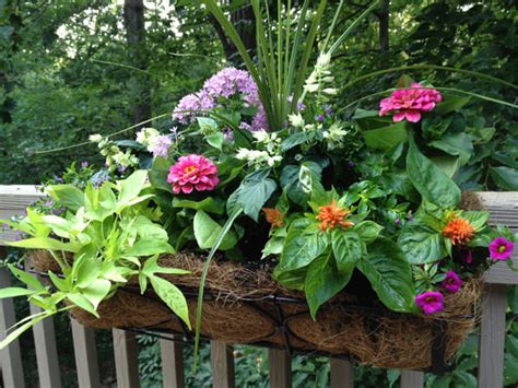 Explore elaine luxton's board indoor window boxes on pinterest. Spring Is In The Air...The Home Depot Garden Club