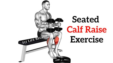 Seated Calf Raise Muscle Worked How To Do Form