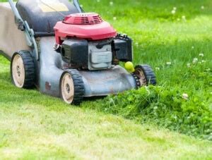 How much does lawn service cost near me. Best Local Lawn Mowing Service Near Me| Lawn Care Services With Free Estimates In 2021