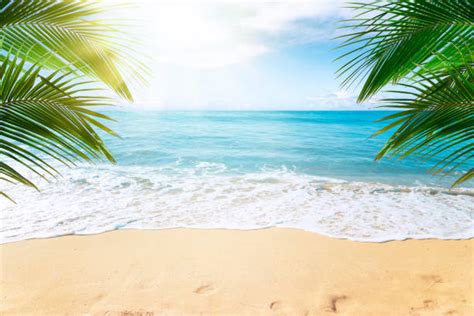 Beach Stock Photos Pictures And Royalty Free Images Istock