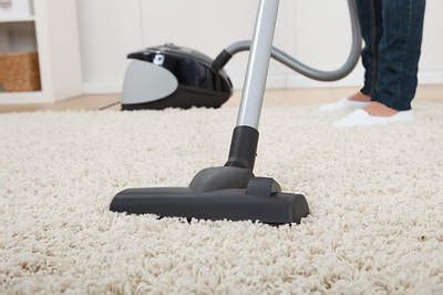 Best overall cordless car vacuum: Here's How to Take Control & Get Rid of Bed Bugs from Your ...