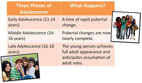The Phases Of Adolescence Adolescence Psychology Human Mind