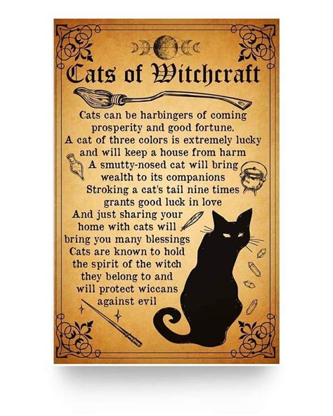 Cats Of Witchcraft Witch Spell Book Witchcraft Halloween Spells