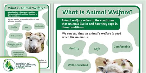 Free Animal Welfare Poster Africaw Twinkl South Africa