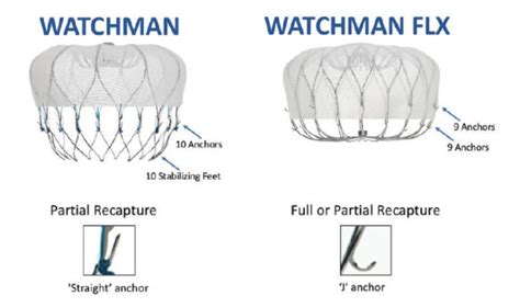 Watchman Flx Health In Technology