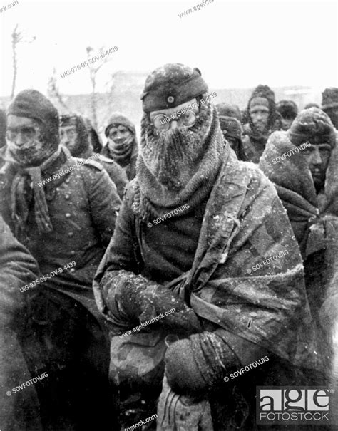 German Prisoners Of War At Stalingrad Stock Photo Picture And Rights Managed Image Pic Uig