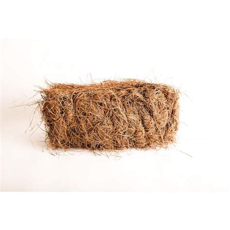Baled Pine Straw 826669 The Home Depot