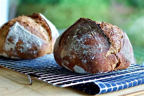 Shop.alwaysreview.com has been visited by 1m+ users in the past month Easy Whole Wheat Sourdough Bread | Homemade Food Junkie