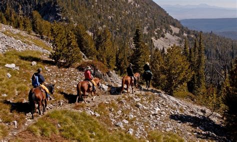 West Yellowstone Montana Horse Pack Trips And Llama Trekking Alltrips