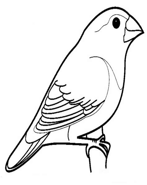 Gambar burung garuda sketsa kekinian download now sketsa gambar buru. Mewarnai Gambar Burung | AyoMewarnai