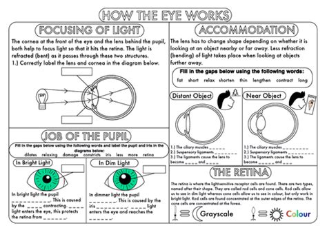 Gcse Biology The Eye Teaching Resources