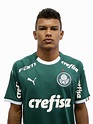 GABRIEL VERON FONSECA DE SOUZA – Palmeiras