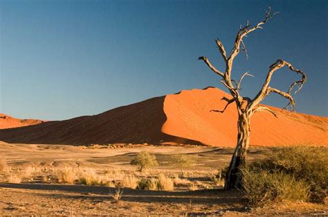 Top 10 Amazing Desert Landscapes In The World Best Desert Destination