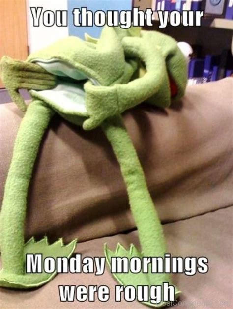 60 best monday memes funny pictures