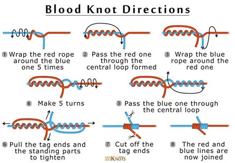 How To Tie A Blood Knot Tying Tips And Step By Step Instructions