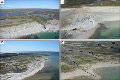 Morphological And Evolutionary Patterns Of Emerging Arctic Coastal