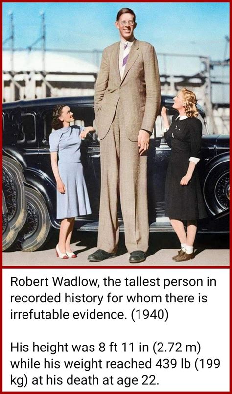 A History Of Record Breaking Giants Years After The Tallest Man