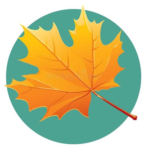 Yellow Maple Leaf Vector Illustration Stock Illustration Illustration