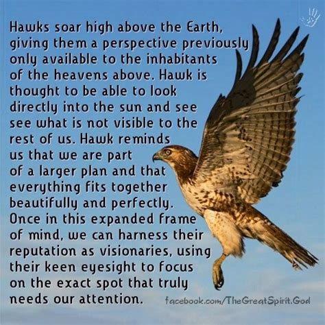 Meaning Of Hawk In 2023 Hawk Spirit Animal Animal Spirit Guides