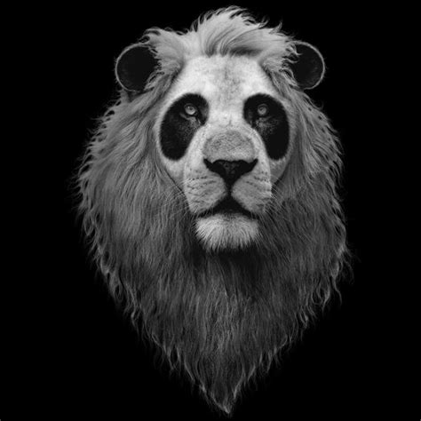 Panda Lion By Design By Humans On Deviantart