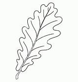 Oak Leaf Stencil Printable Coloring Popular Coloringhome sketch template
