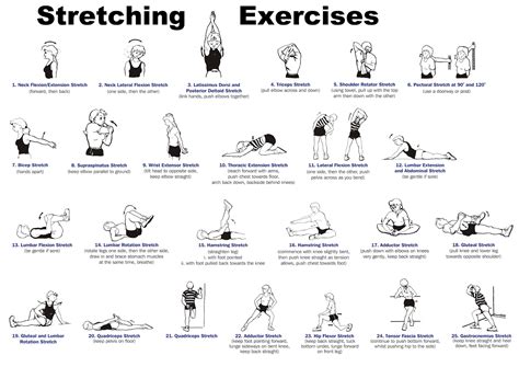 The Names Of Stretches And The Importance In Fitness