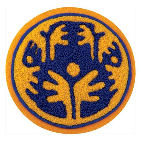 Special Olympics Patch