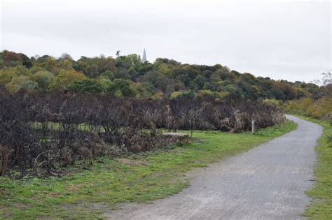 Photographs Of Newcastle Ryton Willows