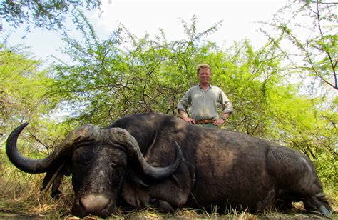 Tanzania Cape Buffalo Hunting Safari In Selous Game Reserve