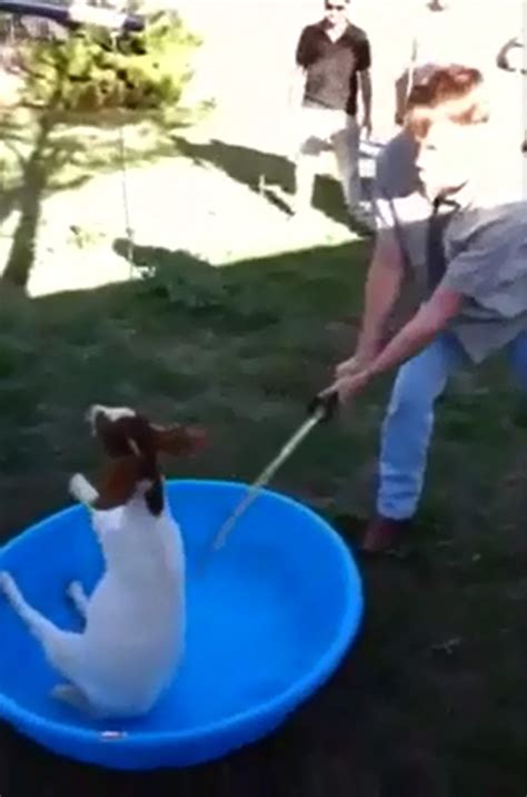 Group Of Men Beheaded Goat With Sword And Filmed It Louisiana Spca
